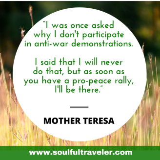“I was once asked why I don't participate in anti-war demonstrations. I said that I will never do that, but as soon as you have a pro-peace rally, I'll be there.” Mother Teresa. My Remembrance Day Chat with John Lennon, Part 2. www.soulfultraveler.com.